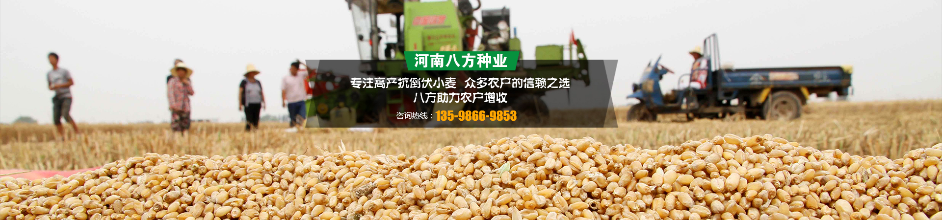 河南八方种业有限公司
