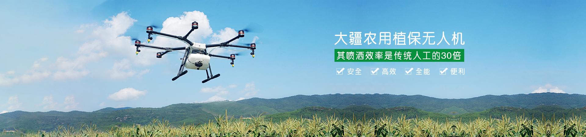 河南八方种业有限公司