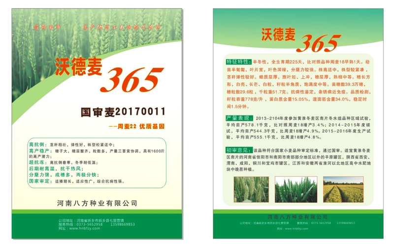 沃德麦365