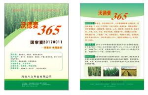 沃德麦365